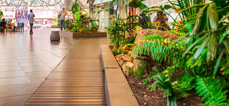 indoor landscaping UAE