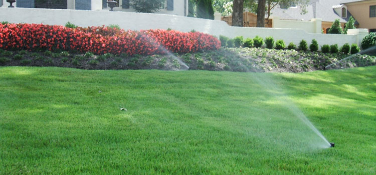 irrigation and water management UAE